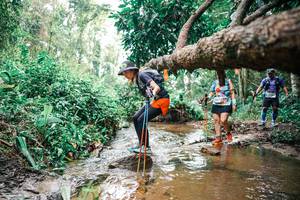 BIB: 
                            <button type="button" onclick="openModal(25375903)" class="btn btn-primary btn-sm float-right btn-popup" data-toggle="modal" data-target=".modal-high-quality">
                        <i class="fas fa-shopping-cart"></i> Add to Cart
                    </button>
                                            <button type="button" onclick="isThisMe(25375903, true)" class="btn btn-success btn-sm float-right btn-popup btn-isme hidden" data-toggle="tooltip" data-placement="bottom" title="นี่คือรูปของคุณใช่ไหม คลิกที่นี่เพื่อเอาเข้าอัลบั้ม">
                        <i class="fas fa-plus"></i> Add to album
                    </button>
                    <button type="button" onclick="isThisMe(25375903, false)" class="btn btn-warning btn-sm float-right btn-popup btn-isnotme hidden">
                        <i class="fas fa-ban"></i> Remove from album
                    </button>